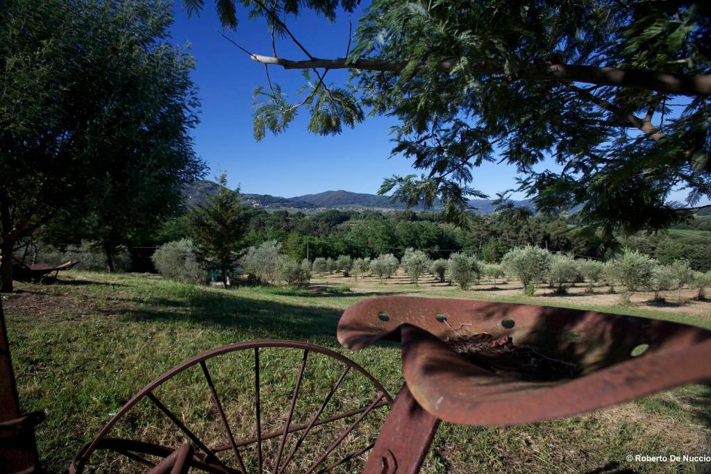Tenuta Gaetano Spadaro Capannori Buitenkant foto