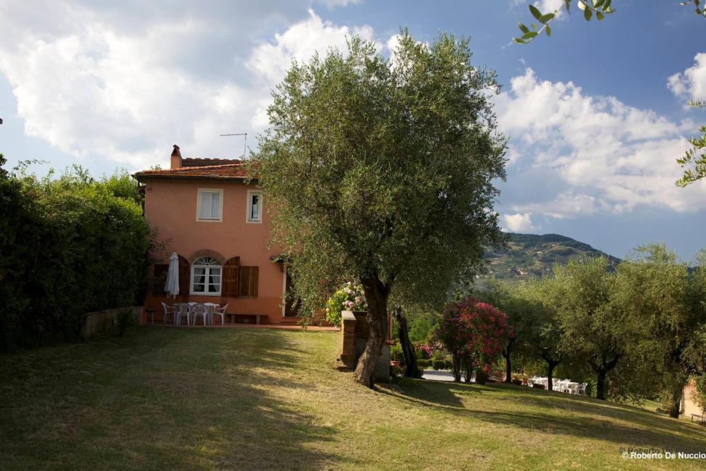 Tenuta Gaetano Spadaro Capannori Kamer foto