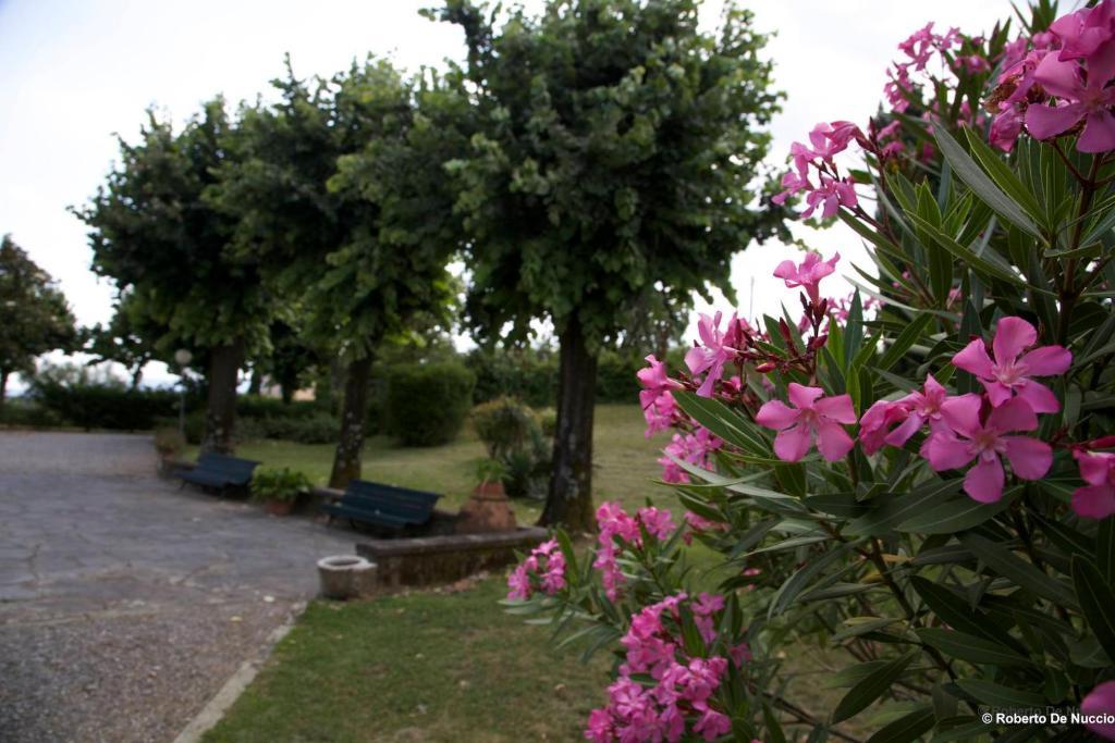 Tenuta Gaetano Spadaro Capannori Buitenkant foto