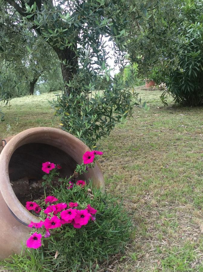 Tenuta Gaetano Spadaro Capannori Buitenkant foto